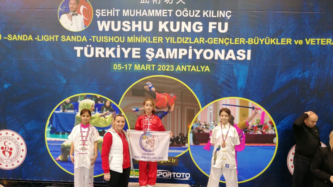 Wushu Kung fu Türkiye Şampiyonası