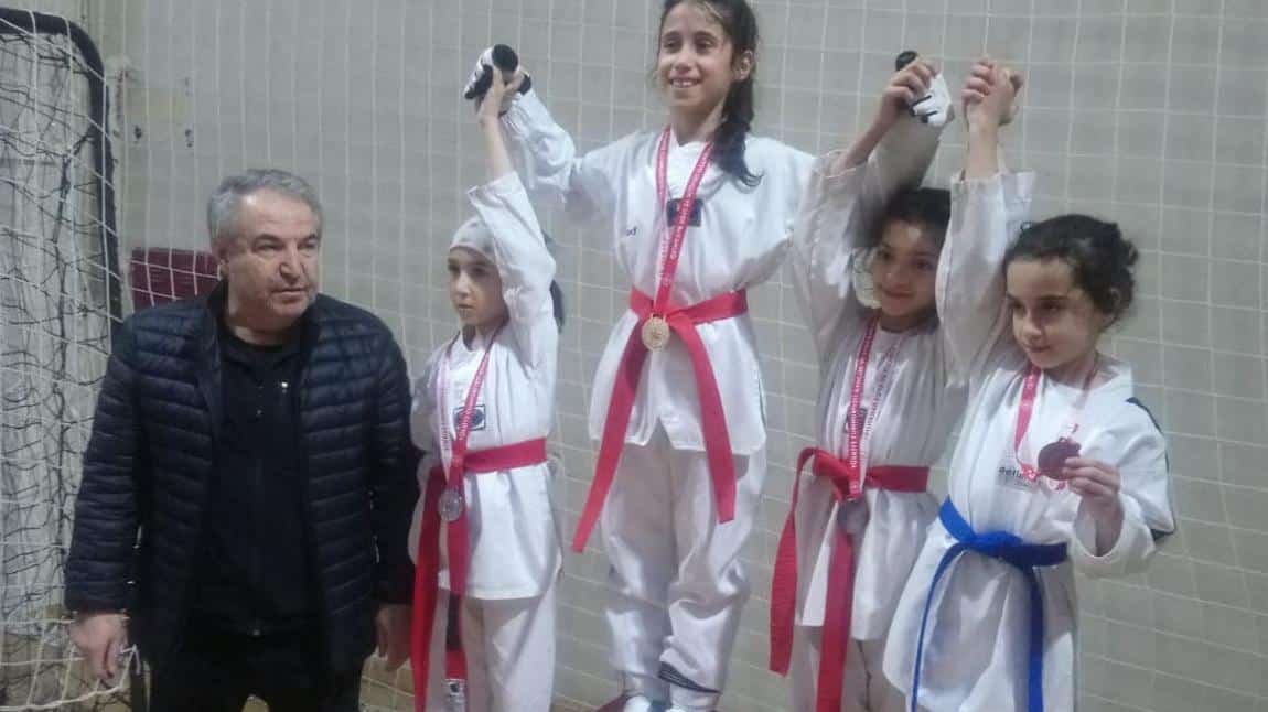 Okullar Arası Taekwondo Yarışması